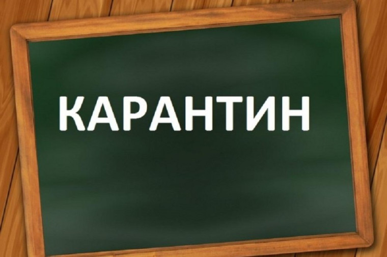ПОВТОРЯЕМ НА КАРАНТИНЕ.